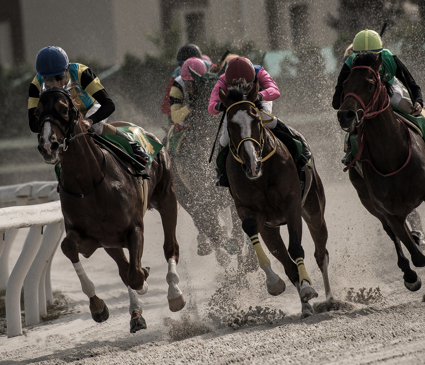 Competitive Horse Racing in Heavy Sandstorm